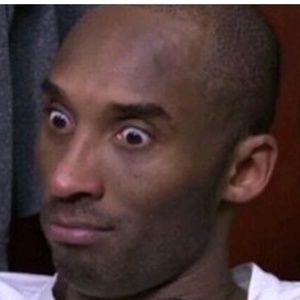 Meet your Posher, Leonardo